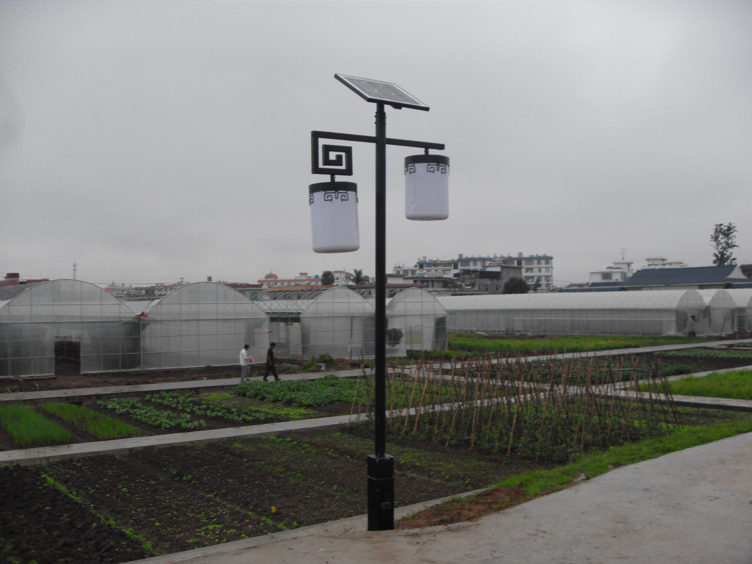 ̫�(y��ng)��30��·��r(ji��)������Xһ��(g��)