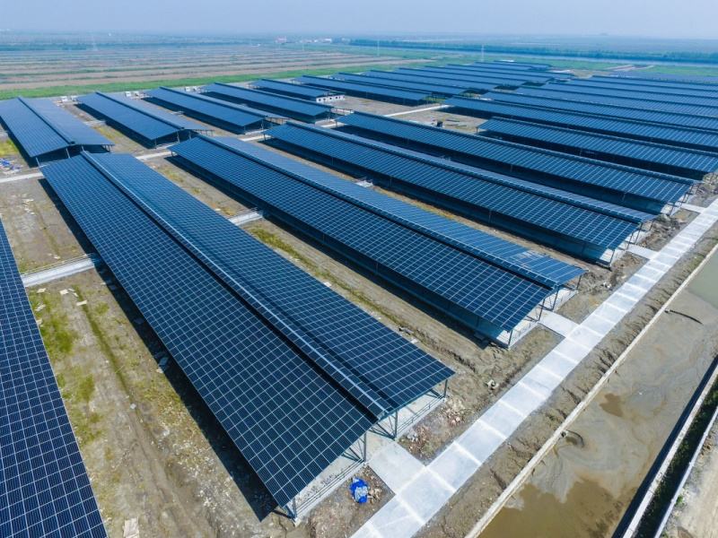 ���̫�(y��ng)�ܰl(f��)��O(sh��)��r(ji��)��һ�״���Ƕ���